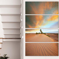 Design Art 'Green Plants in Wide Desert' 4 Piece Photographic Print on Wrapped Canvas Set