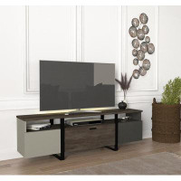 East Urban Home Cartan TV Stand for TVs up to 60"