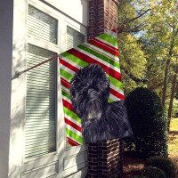 The Holiday Aisle® Candy Cane Holiday Christmas House Vertical Flag