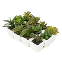 Primrue 12 Pcs Mini Artificial Cactus Succulent In Pot Set