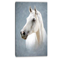 Design Art A Horse Alone Animal Photographic Print on Wrapped Canvas