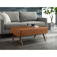 George Oliver Sedlak Solid Wood Lift Top Coffee Table with Storage