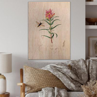 August Grove Vintage Insects And Plants I - Farmhouse Wood Wall Art Panels - Natural Pine Wood