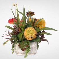 Bayou Breeze Artificial Desktop Tillandsia and Aloe Succulents with Protea Plant in Pot