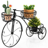 Red Barrel Studio Red Barrel Studio Tricycle Plant Stand Flower Pot Cart Holder Parisian Style Displaying