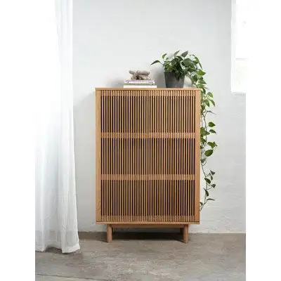 AllModern Lanai Solid Wood Accent Cabinet