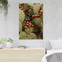 Bungalow Rose Red And Green Cactus Plants - 1 Piece Rectangle Graphic Art Print On Wrapped Canvas