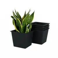 Winston Porter 5" Square Nursery Plant Pot - Garden Plastic Pots With Drainage (5-Pack)