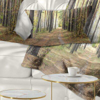 East Urban Home Forest Pathway in Autumn Pine Lumbar Pillow