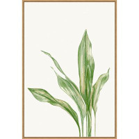 Wildon Home® Cast Iron Plant II By Errico And Slyp Framed Canvas Wall Art Print