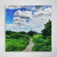 Latitude Run® Green Trees And Plants Under White Clouds And Blue Sky During Daytime - 1 Piece Rectangle Graphic Art Prin