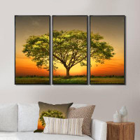 Ebern Designs Autumn Terrai With Trees And River - Landscape Framed Canvas Wall Art Set Of 3