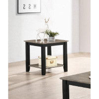 Winston Porter Simple Modern Look Wooden 1Pc End Table