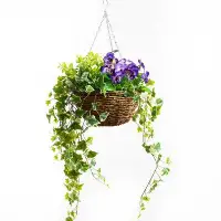 Primrue Mint, Purple Pansy, Variegated Ivy Artificial Plant In Round Grapevine Hanging Basket