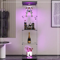 Latitude Run® LED lights  Glass Display Cabinet 4 Shelves with Door, Floor Standing Curio Bookshelf