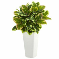 Red Barrel Studio Variegated Rubber Foliage Plant in Tower Decorative Vase