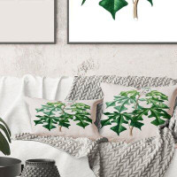 East Urban Home Square,Vintage Green Leaves Plants II - Traditional Printed Throw Pillow