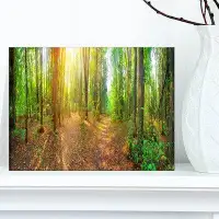 Design Art 'Dense Forest Panorama' Photographic Print on Wrapped Canvas