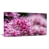 Design Art Bright Pink Little Flowers Large Flower Photographic Print on Wrapped Canvas