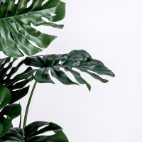 Vintage Home 81.9'' Faux Monstera Plant in Planter