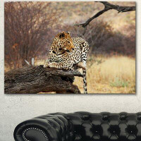 Made in Canada - Design Art 'Leopard Sitting on Tree Trunk' Photographic Print on Wrapped Canvas