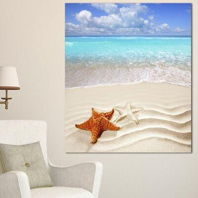 Made in Canada - Design Art Brown Starfish on Caribbean Beach - Wrapped Canvas Photograph Print in Home Décor & Accents