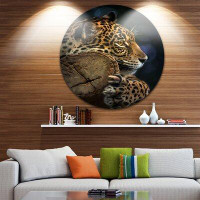 Design Art 'Relaxing Jaguar' Photographic Print on Metal