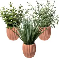 Primrue Herb Artificial Plants in Pots