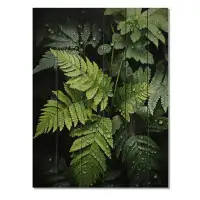 Bay Isle Home™ Ferns Plant Monochrome Symphony III On Wood Print