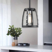 17 Stories Barada Punk Pendant Light with Black Cage with Adjustable Rod Pendant Lighting Fixture for Kitchen Island