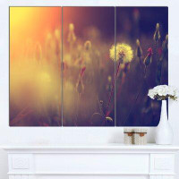 Made in Canada - Design Art 'Vintage Photo Of Dandelion Field' 3 Piece Photographic Print on Wrapped Canvas Set