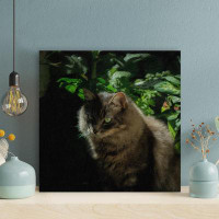 Latitude Run® Brown Tabby Cat On Green Plants - 1 Piece Square Graphic Art Print On Wrapped Canvas