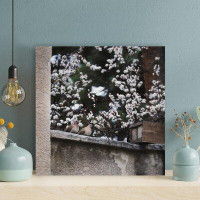 Latitude Run® Pair Of Grey Birds On Wall By White Flowers - 1 Piece Rectangle Graphic Art Print On Wrapped Canvas