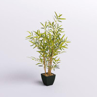 Freeport Park® Bamboo Tree In Container (32X32x36"H)