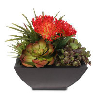 Brayden Studio Tropical Aloe Succulent in Pot in Planter