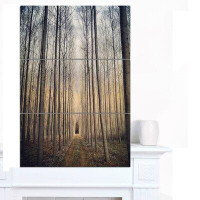 Made in Canada - Design Art 'Thick Forest of Poplars at Sunset' 3 Piece Photographic Print on Wrapped Canvas Set