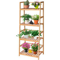 Arlmont & Co. Ladder 4-Tier Plant Stand, Indoor Plant Shelf, 4 Tiers And 8 Potted Bamboo Flower Holder, Tiered Plant Rac