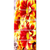 Design Art 'Red Yellow Flower Background Photo' 5 Piece Photographic Print on Wrapped Canvas Set