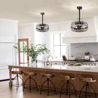 Williston Forge 18'' Farmhouse Ceiling Fans Light - Caged Ceiling Fan With Remote Control