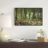 Made in Canada - East Urban Home 'Dense Rubber Tree Plantation' Framed Photographic Print on Wrapped Canvas