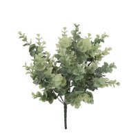 Primrue 16'' Eucalyptus Plant