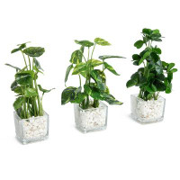 Primrue Set Of 3 Potted Artificial Plants, Faux Tabletop Greenery In Clear Glass Square Pot With Decorative White Stones