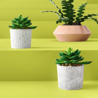 Hashtag Home 2 Piece Artificial Succulent Plant in Pot Set