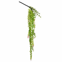AllModern Artificial String of Pearls Foliage Plant