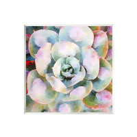 Stupell Industries Stupell Industries Succulent Plant Bold Hues Wall Plaque Art By Vicki Gladle Bolick-au-696