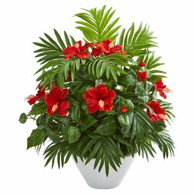 Bay Isle Home™ Hibiscus and Areca Palm Artificial Flowering Plant in Bowl in Plants, Fertilizer & Soil