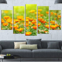 Design Art 'Yellow Marigold Flowers' 5 Piece Photographic Print on Wrapped Canvas Set