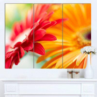 Design Art 'Red and Yellow Daisy Flower' 3 Piece Photographic Print on Wrapped Canvas Set