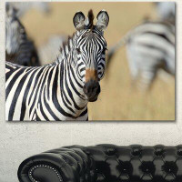 Made in Canada - Design Art 'African Zebra Close-Up View' Photographic Print on Wrapped Canvas