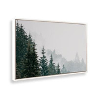 Millwood Pines Whispering Mist kmc1002